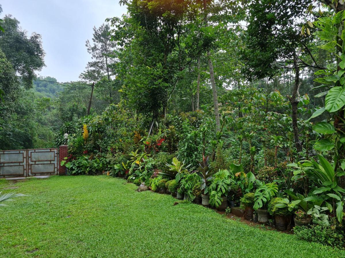 The Forest Villa Богор Екстериор снимка